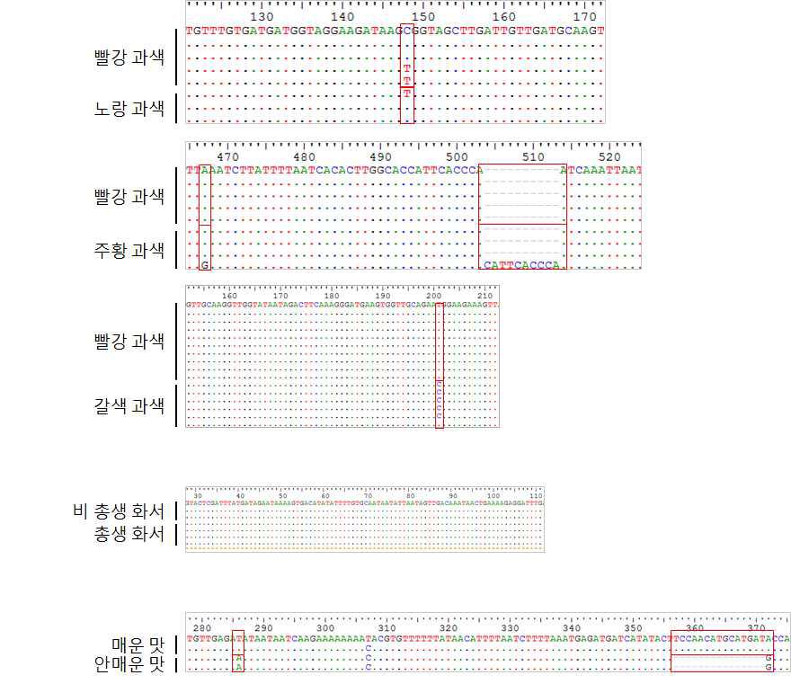 원예적 형질 결정 유전자 시퀀스 분석.