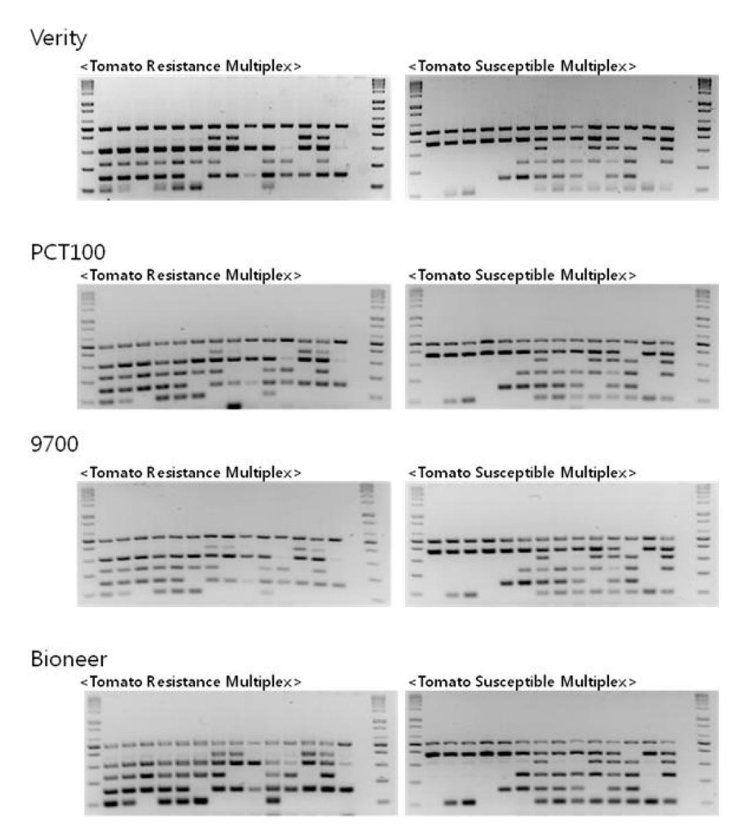 장비별 multiplex PCR 결과.