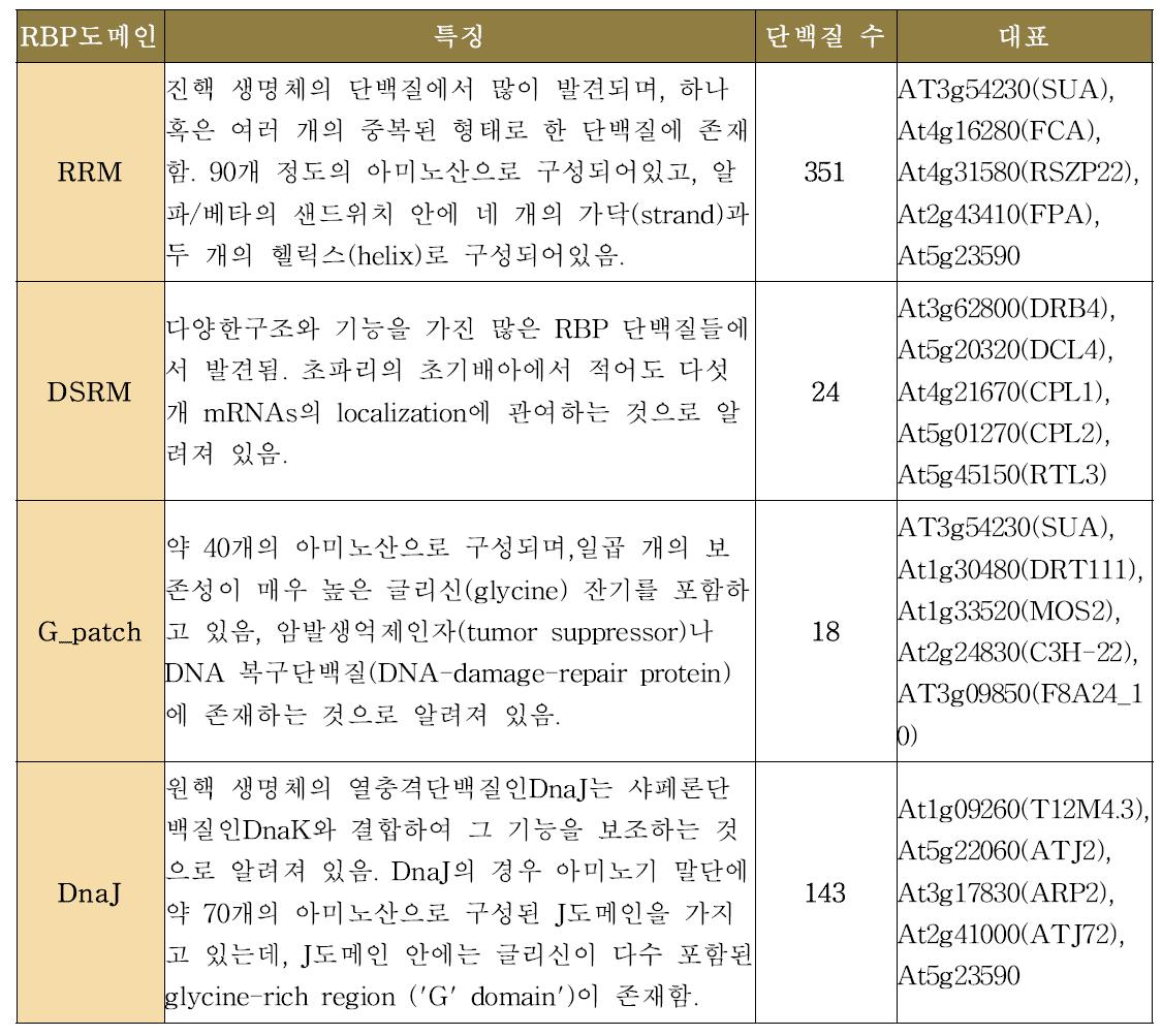 인실리코 분석을 통한 RBP의 선별