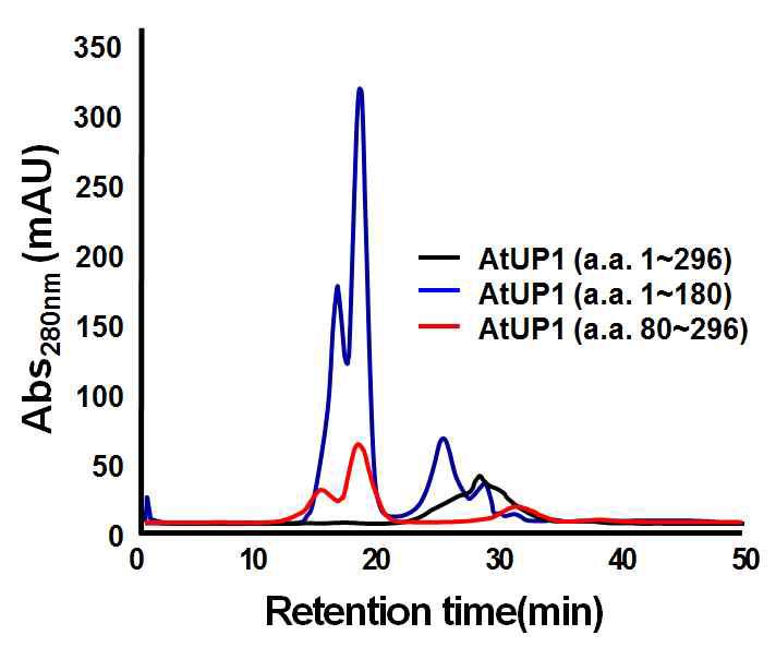 AtUP1 단백질들의 구조분석