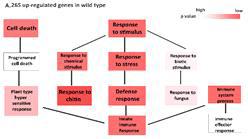 GO term enrichment analysis of themicroarray data