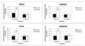 Mutant defective in ATP-induced gene expression