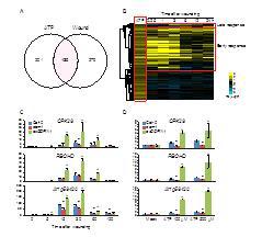 ATP and wounding induce a common subset of genes