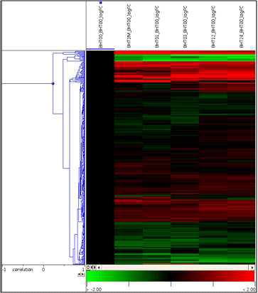 배추 50K 마이크로칩 이용 306개 RNA-binding proteins의 고온 스트레스에 의한 발현 계층군집화 (Hierarchical clustering)