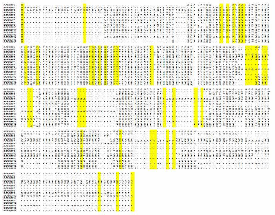 배추 유래 BrRBGs의 염기서열 상동성 비교.