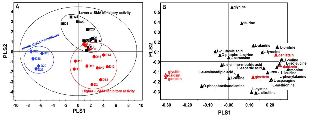 PLS score(A) and scatter loading(B) plots derived from amino acids and isoflavone on UPLC-Q-TOF-MS of Doenjang extracts