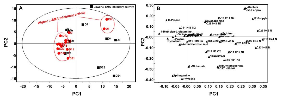 PCA score plot(A) and scatter loading(B) plots derived from 98 metabolites on UPLC-Q-TOF-MS of Doenjang extracts