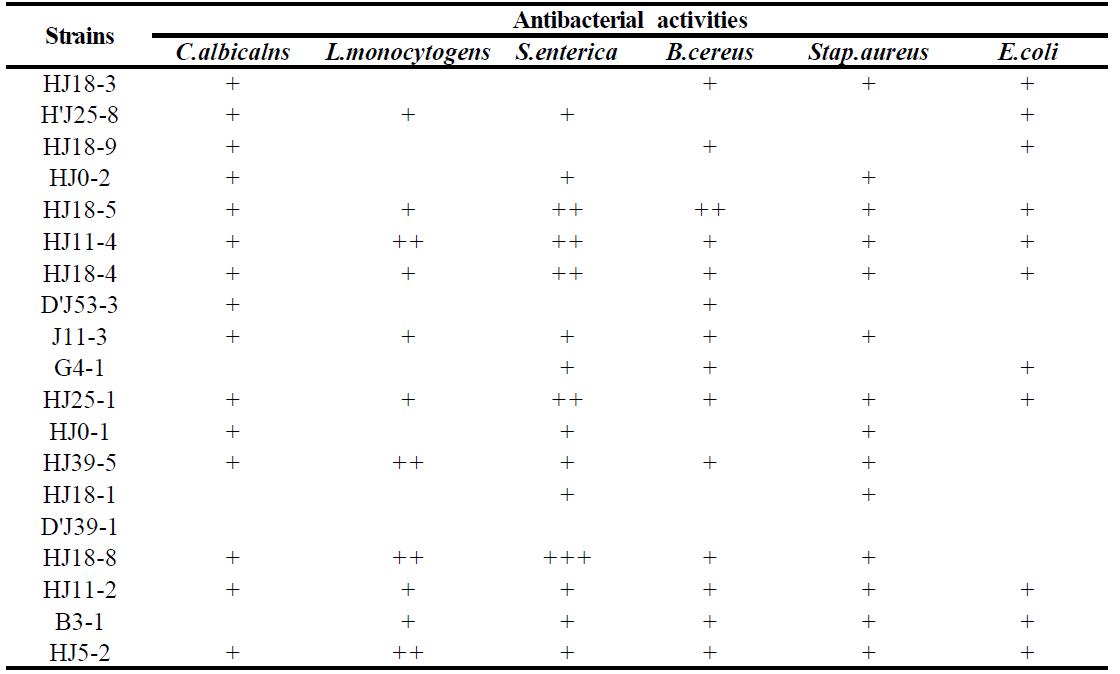 Antibacterial Effect of Bacillus subtilis strains