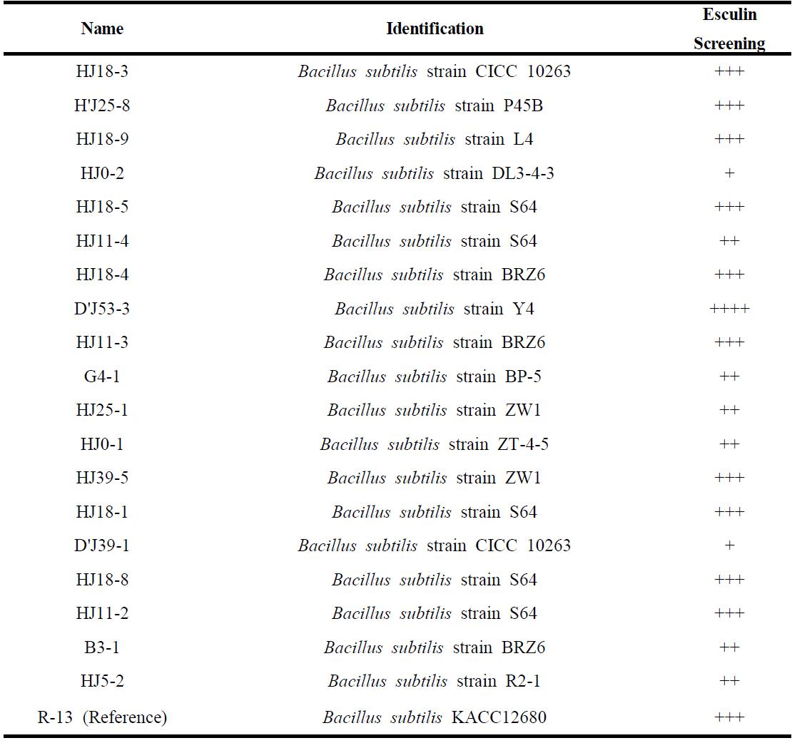 Screening the activity of β-glusocidase on the Esculin media