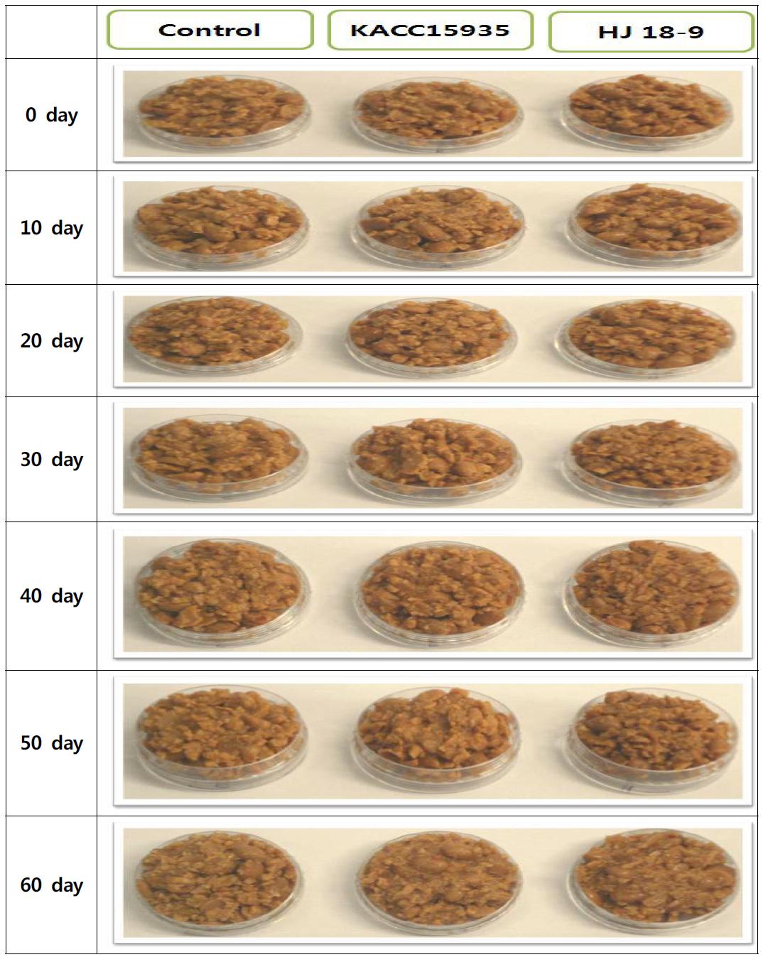 change in image during Soybean Doenjang fermentation by the three strains of B. subtilis