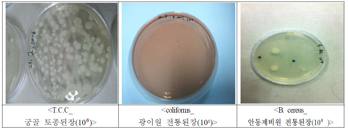 Investigation of microbial in the regional traditional Doenjang