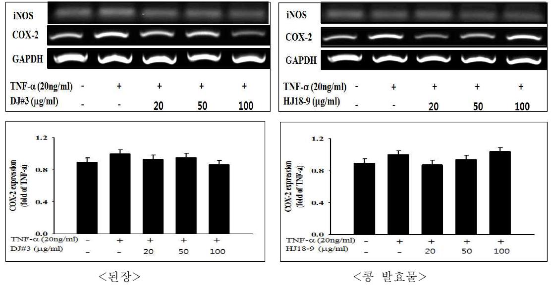 Inhibitory effect of DJ.#3 and fermented soybeans extracts TNF-α-induced iNOS and COX-2 mRNA gene expression in HUVEC cells