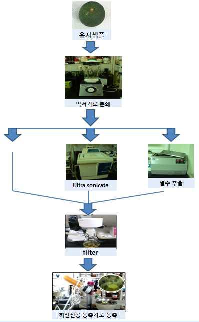 유자 샘플 추출 과정