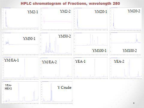 독립 용매별 및 순차적 추출방법에 따른 분획물의 Chromatogram