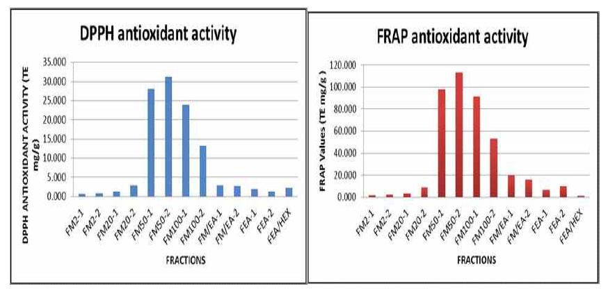독립 용매별 및 순차적 추출방법에 따른 분획물에 대한 항산화활성 (DPPH, FRAP) 분석