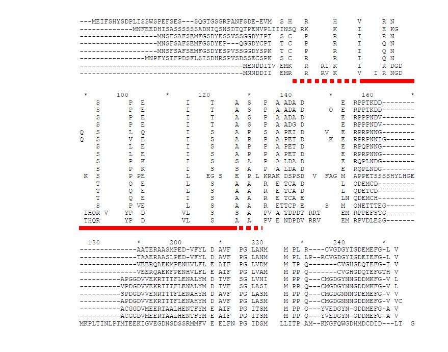 Multiple alignment of the deduced amino acid sequences of the P. ginseng CBF/DREB1 and Arabidopsis CBF/DREB1 genes. The AP2/EREBP domain is indicated by the red line and the CBF/DREB1-conserved amino acid residues, PKRPAGRTKFRETRHP (in the NLS), DSAWR (after the AP2/EREBP domain), and LWSY (in the C-terminal region) are indicated by red dots below the alignment. Shaded boxes indicate conserved residues among compared proteins. The alignment was made using ClustalW and GeneDoc software.