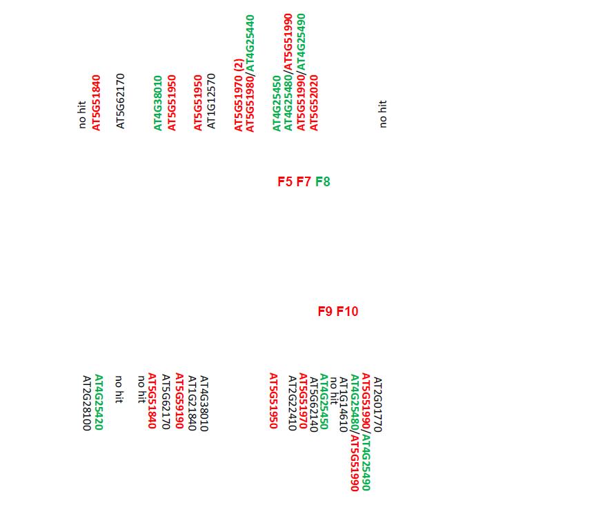 Sequence level comparison of collinear paralogous scaffold sequences harboring PgDREB1 genes. Black arrows indicate the position and orientation of annotated genes in the sequences. Red and green arrow heads indicate PgDREB1 genes and AP2/EREBP gene, respectively. F5, F7, F9, and F10 indicate four PgDREB1 genes, scaffold10903-F5C, scaffold10903-F7C, scaffold10442-F9C, and scaffold10442-F10C, respectively. Arabidopsis homologues were found by Blastx searches against TAIR database. The gray bars connecting boxes between paralogous sequences indicate conserved sequences. The map was drawn using Blast viewer based on nucleotide sequence similarity from Blastn searches.