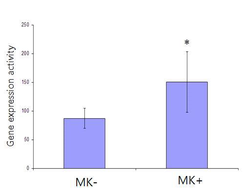 MK+ 유래의 세포 분리 후 성장률