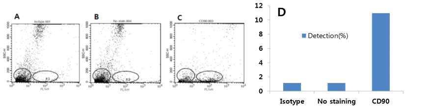 MK 세포 분화 후 MK+ 세포를 이용한 세포 대량 배양 효율 유세포 분석 결과