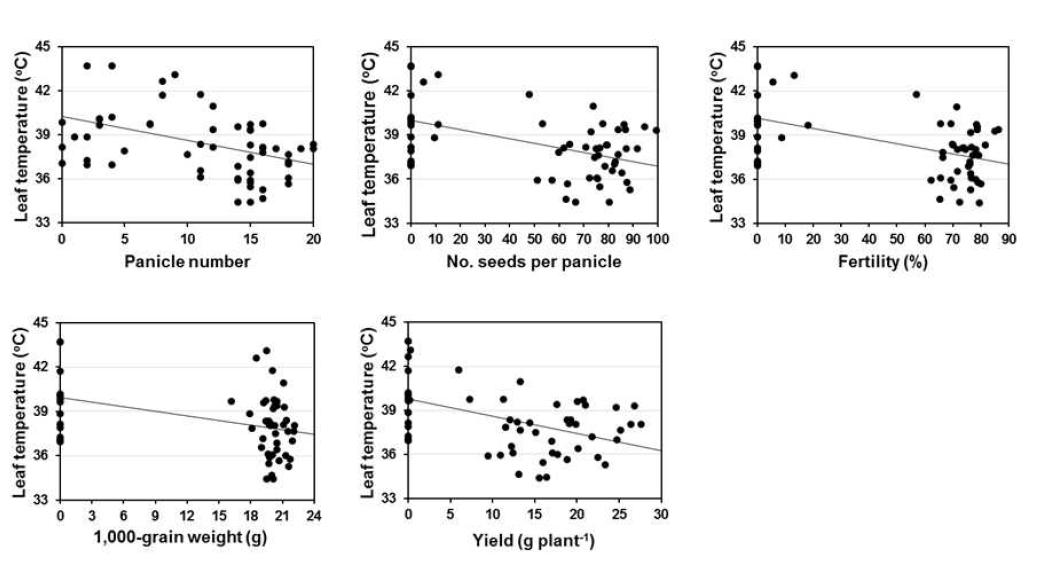 Linear regression between leaf temperature and yield components, panicle number, number of seeds per panicle, fertility, 1,000-grain weight, and yield at 3 days after NaCl treatment