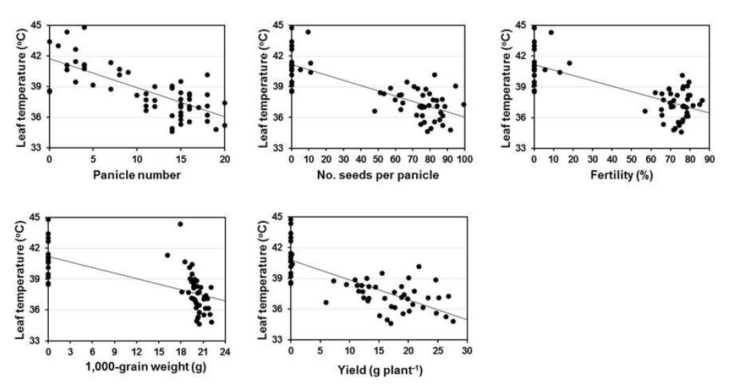 Linear regression between leaf temperature and yield components, panicle number, number of seeds per panicle, fertility, 1,000-grain weight, and yield at 6 days after NaCl treatment.