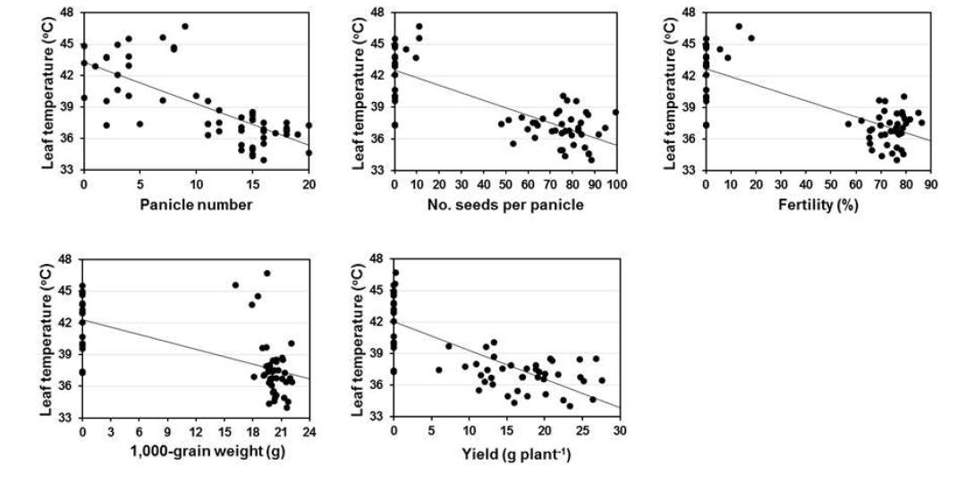 Linear regression between leaf temperature and yield components, panicle number, number of seeds per panicle, fertility, 1,000-grain weight, and yield at 12 days after NaCl treatment.