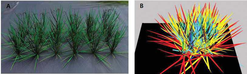 3D structure of rice community (A) and light absorption index (B) in rice community demonstrated by functional structural crop model.