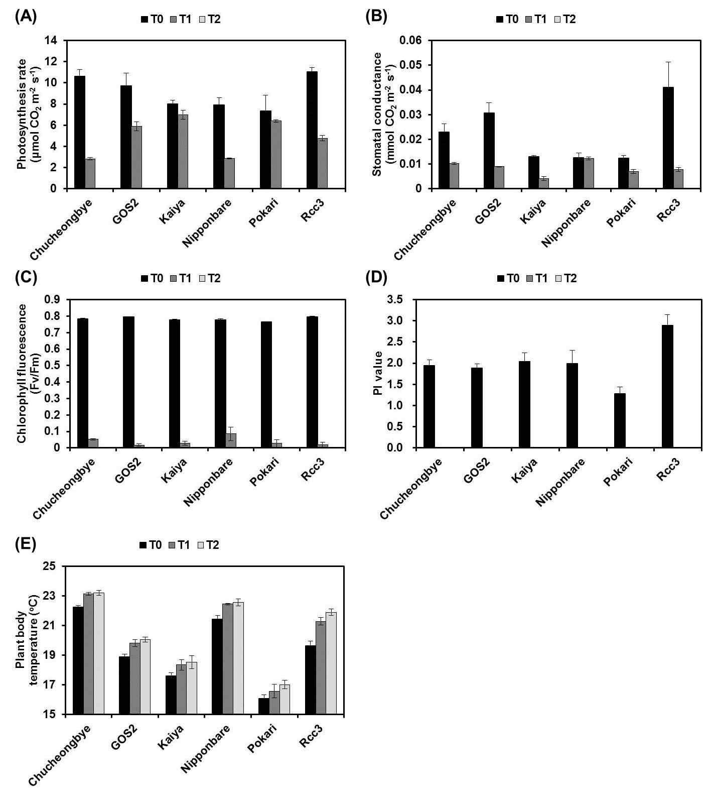 Physiological parameters of 6 rice cultivars or lines at 1 days after PEG treatment. T0, T1, and T2 indicate 0, 8, and 16% PEG (w/v), respectively.