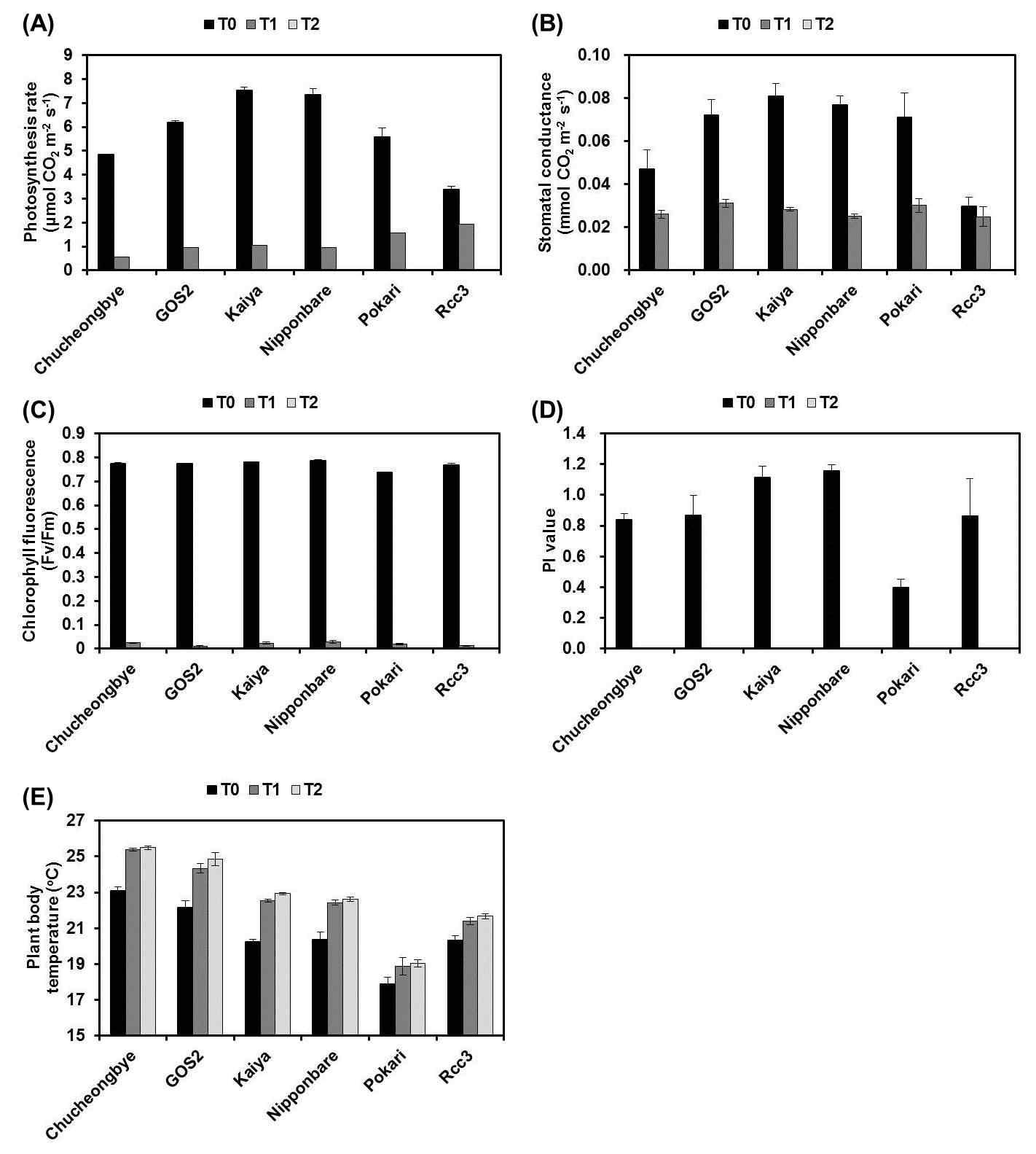 Physiological parameters of 6 rice cultivars or lines at 2 days after PEG treatment. T0, T1, and T2 indicate 0, 8, and 16% PEG (w/v), respectively.