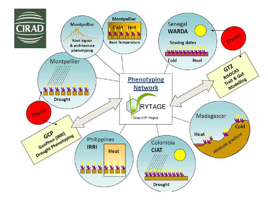 Phenotyping network for climate change in CIRAD