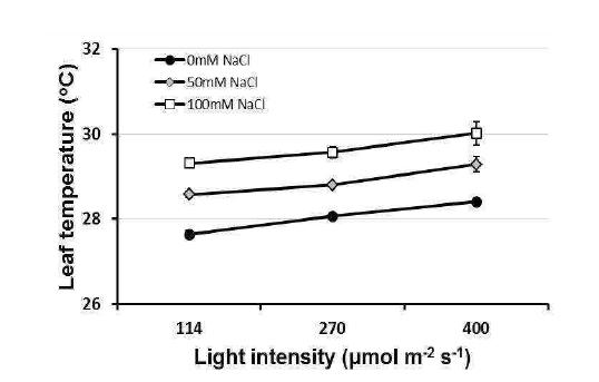 Leaf temperature of rice affected by light intensity at 1 day after salt treatment.