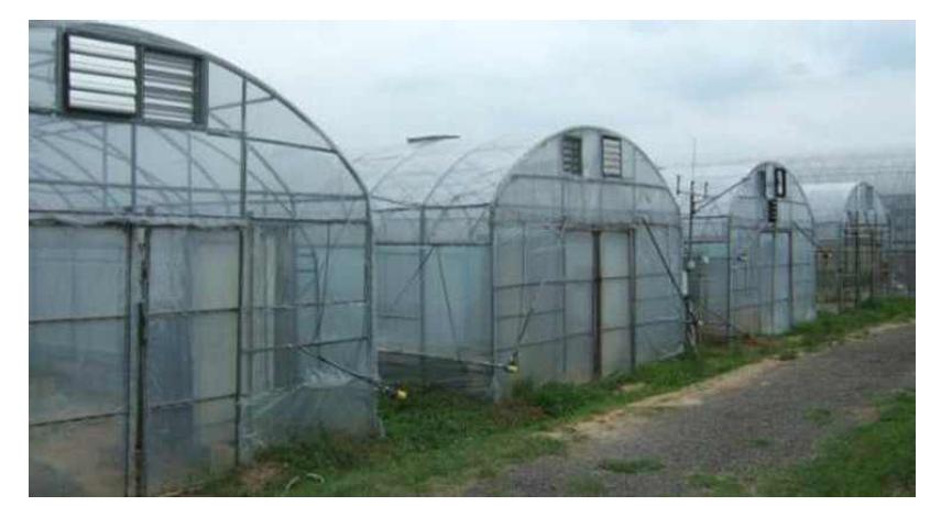 Temperature gradient plastic houses at the experimental farm station, Seoul