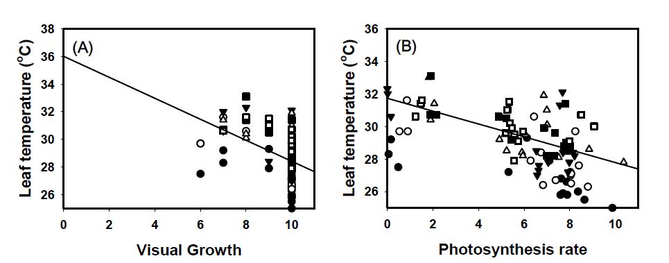 Relationships between each non-destructive parameters measured at 6 DAT.