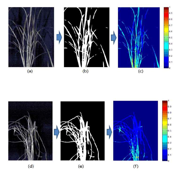 Hyper spectral image analysis process.