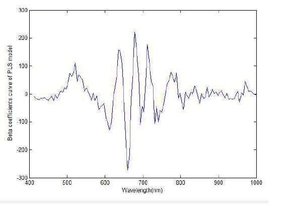 PLS model using Vis/NIR spectrum of rice.