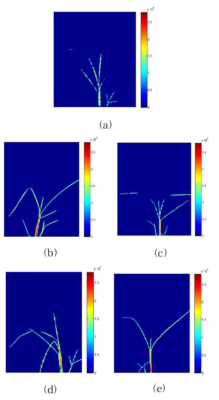 Vis/NIR image of rice exposed to 5oC for 0 (a) 3 h (b) 6 h (c) 12 h (d) 24 h (e).