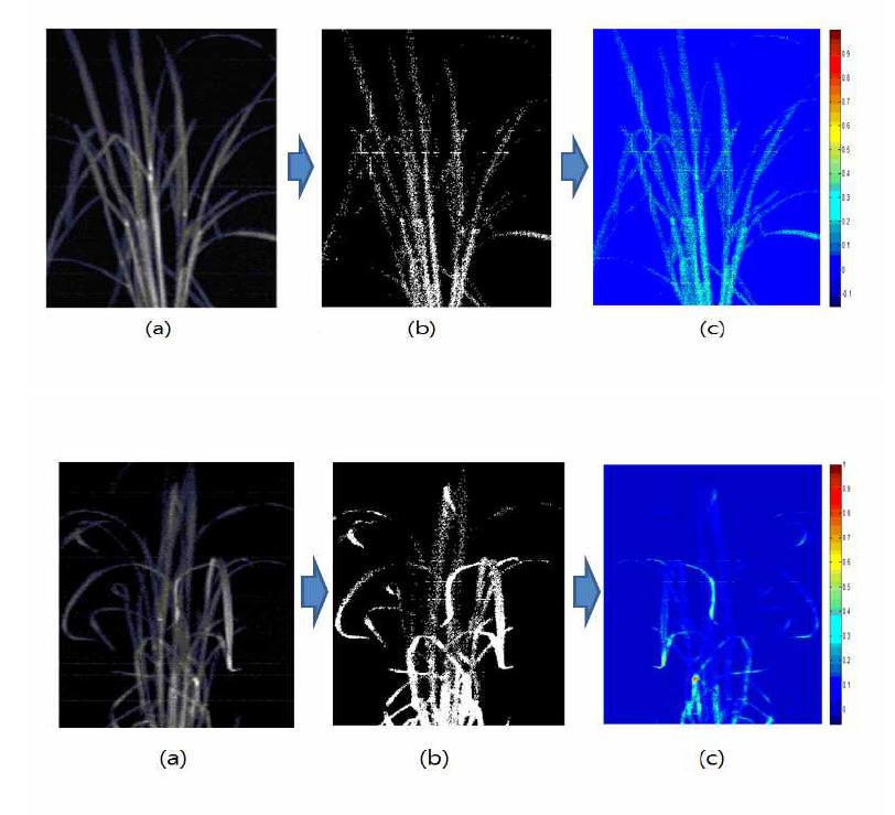 Hyper spectral image analysis process.