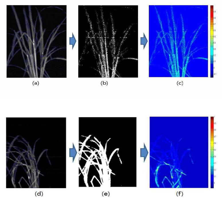 Hyper spectral image analysis process.