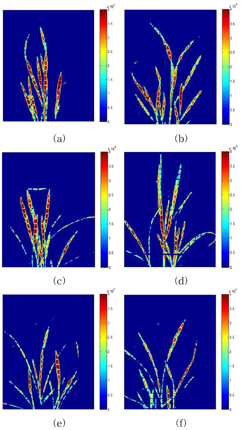 PLS hyper-spectral image of rice exposed to ambient temperaturefor 12 h after low temperature stress at 5oC for 0 (a), 3 h (b), 6 h (c), 12 h (d), 24 h (e), and 48 h (f).