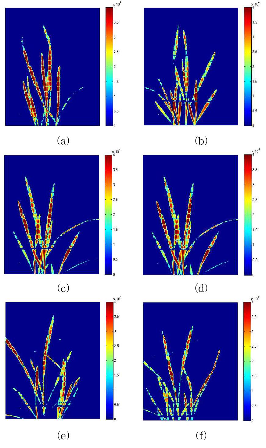 PLS hyper-spectral image of rice exposed to ambient temperature for 24 h after low temperature stress at 5oC for 0 (a), 3 h (b), 6 h (c), 12 h (d), 24 h (e), and 48 h (f).