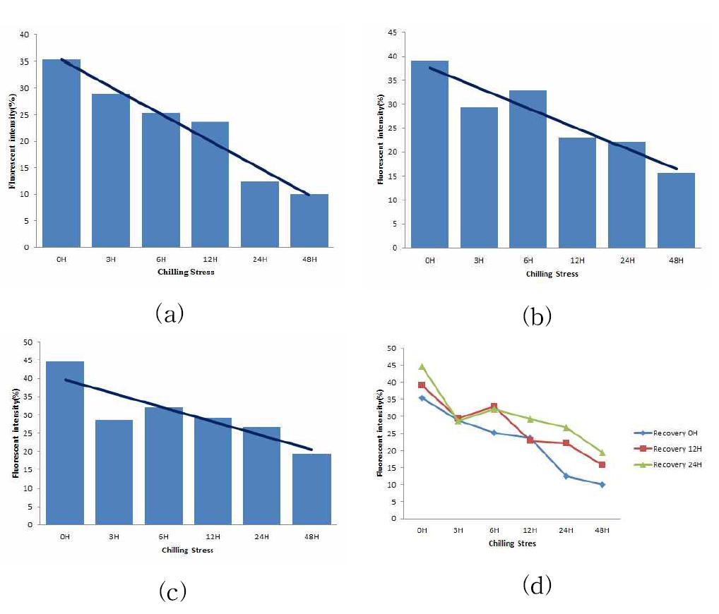 Fluorescence intensity trend of rice exposed to ambient temperature for 0 (a), 12, and 24 h (c) after low temperature at 5oC and its changes of fluorescence intensity by duration of ambient temperature adaptation (d).