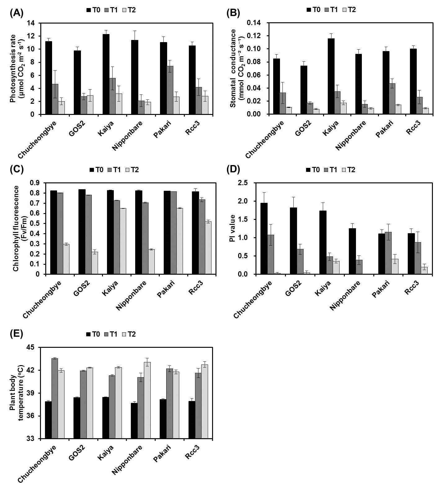 Physiological parameters of 6 rice cultivars or lines at 1 days after NaCl treatment. T0, T1, and T2 indicate 0, 50, and 100 mM NaCl, respectively.