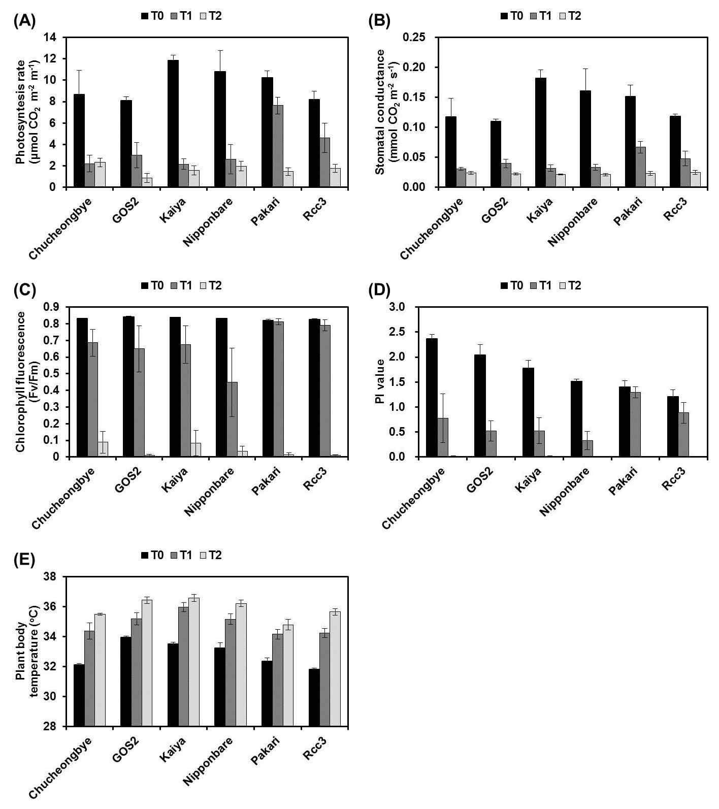 Physiological parameters of 6 rice cultivars or lines at 2 days after NaCl treatment. T0, T1, and T2 indicate 0, 50, and 100 mM NaCl, respectively.