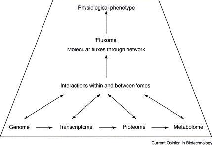 Relationship between physiological phenotype and genome