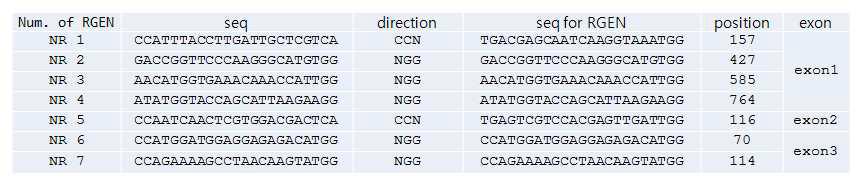 페튜니아 NR 유전자 염기서열 기반으로 제작한 sgRNA 정보
