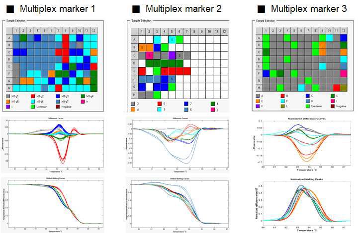 핵심자원 평가에 사용한 3가지 Multiplex marker의 해리곡선 패턴의 다양 성