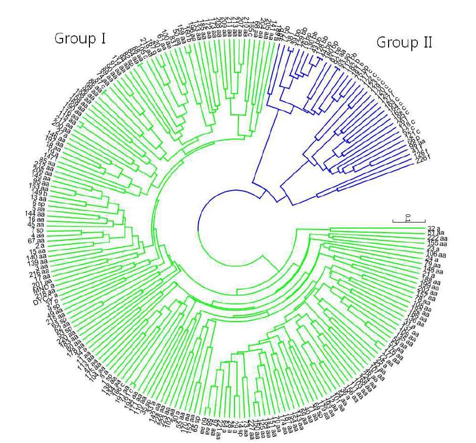 고추유전자원 간의 다양성을 보여주는 UPGMA Tree