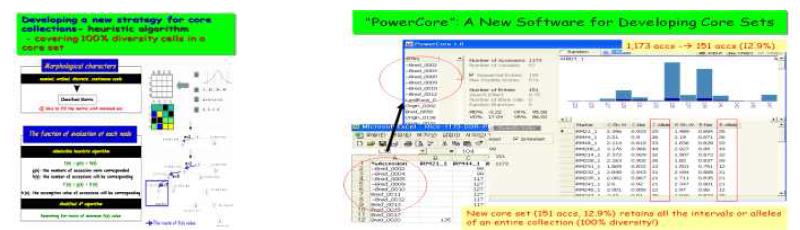 아마란스및매실핵심집단선발에활용된 PowerCore software의휴리스틱알고리즘