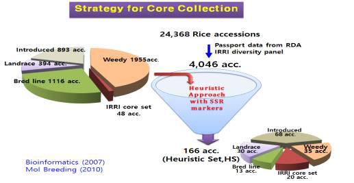전 세계 수집된 벼 유전자원의 핵심집단 작성