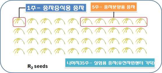 유전체 재분석 집단 분양/증식 시스템